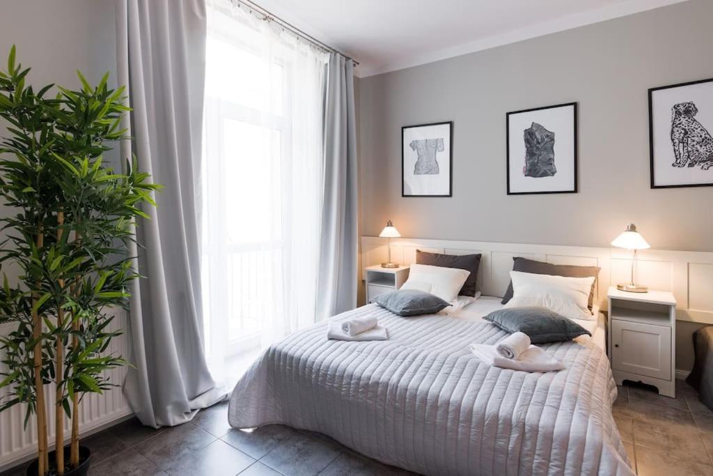 Florianska Deluxe Apartments With Air Condition Krakow Ngoại thất bức ảnh